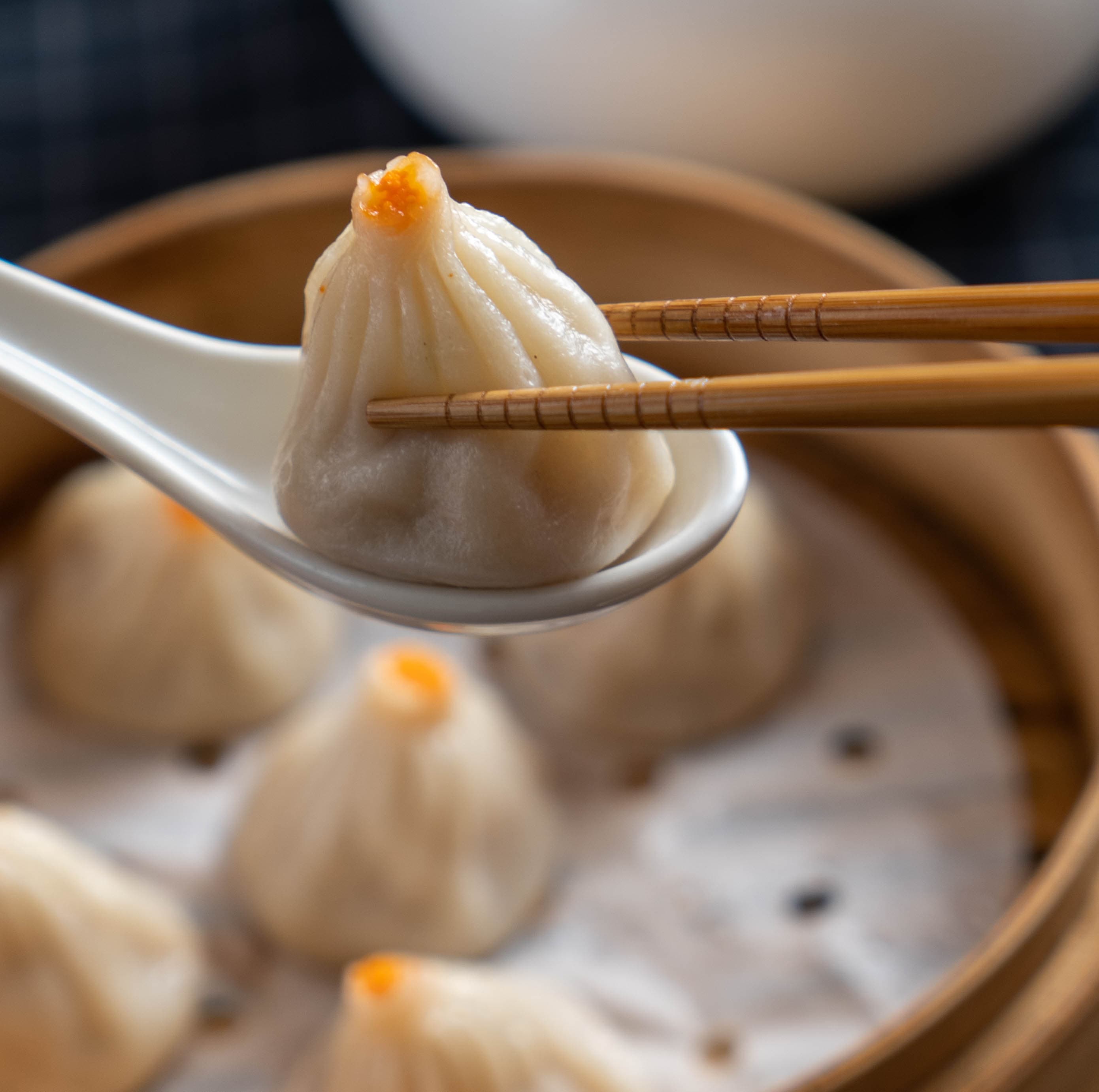 Epic Dumpling 1